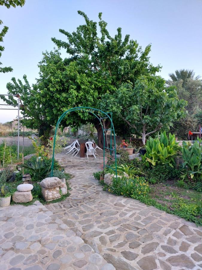 La Medusa Gardens Iskele District  Exteriér fotografie